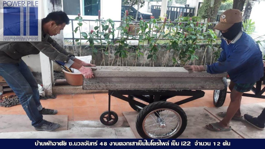ไมโครไพล์